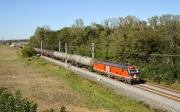 Řada 193 (Vectron v pronájmu)