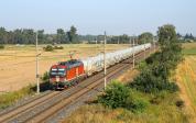 Řada 193 (Vectron v pronájmu)