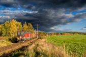 Řada 193 (Vectron v pronájmu)