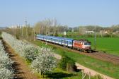 Řada 242 (S 499.02)