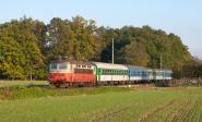 Vyfotografováno: 22.10.2011 16:44 242.231-9