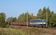 Řada 363 (ES 499.1)