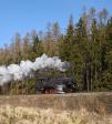 Steam locomotives