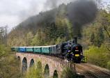 Steam locomotives