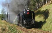Steam locomotives