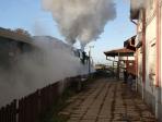 Steam locomotives