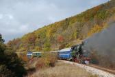 Steam locomotives