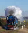 Steam locomotives