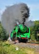 Steam locomotives