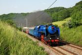Steam locomotives