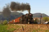 Řada 555.3
