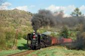 Steam locomotives