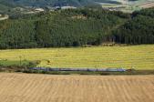 Elektrotriebwagen und -züge 