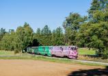 705.919-9 + 705.905
Úsek: Dolní Radouň - LovětínLakkyvt 
Os 91508 [Jindřichův Hradec – Kamenice nad Lipou]