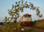 Řada 749