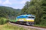 Diesellokomotiven