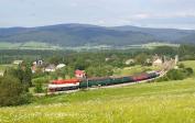 T 478.1004