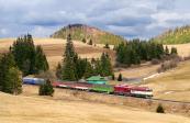 T 478.3109 + T 478.4054