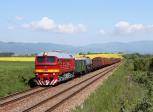 T 679.1168