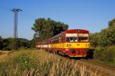 Verbrennungstriebwagen und -züge