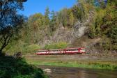 Diesel multiple units and railcars