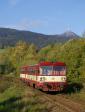 Diesel multiple units and railcars