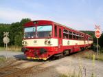 Verbrennungstriebwagen und -züge