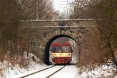 Diesel multiple units and railcars
