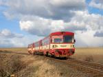 Diesel multiple units and railcars