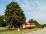 Diesel multiple units and railcars