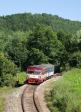 Diesel multiple units and railcars