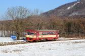 Diesel multiple units and railcars