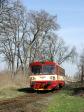Diesel multiple units and railcars