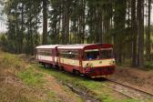 Řada 810 (M 152.0)