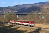 Verbrennungstriebwagen und -züge