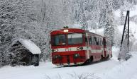 Diesel multiple units and railcars