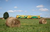 Verbrennungstriebwagen und -züge