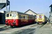 M 262.0198 + 842.002-8