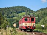Řada 831 (M 262.1)