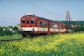 Diesel multiple units and railcars