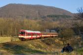 Verbrennungstriebwagen und -züge