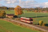 Diesel multiple units and railcars