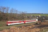 Diesel multiple units and railcars