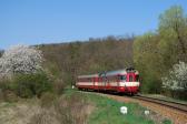 Diesel multiple units and railcars