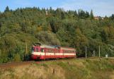 Diesel multiple units and railcars