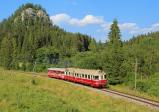 Verbrennungstriebwagen und -züge