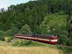 Verbrennungstriebwagen und -züge
