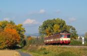 Verbrennungstriebwagen und -züge