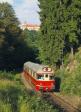 Diesel multiple units and railcars