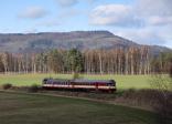 Verbrennungstriebwagen und -züge
